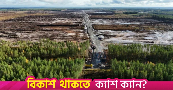 ফিনল্যান্ডে গুগল-সংশ্লিষ্ট বিশাল বনভূমি নিধন নিয়ে তদন্ত