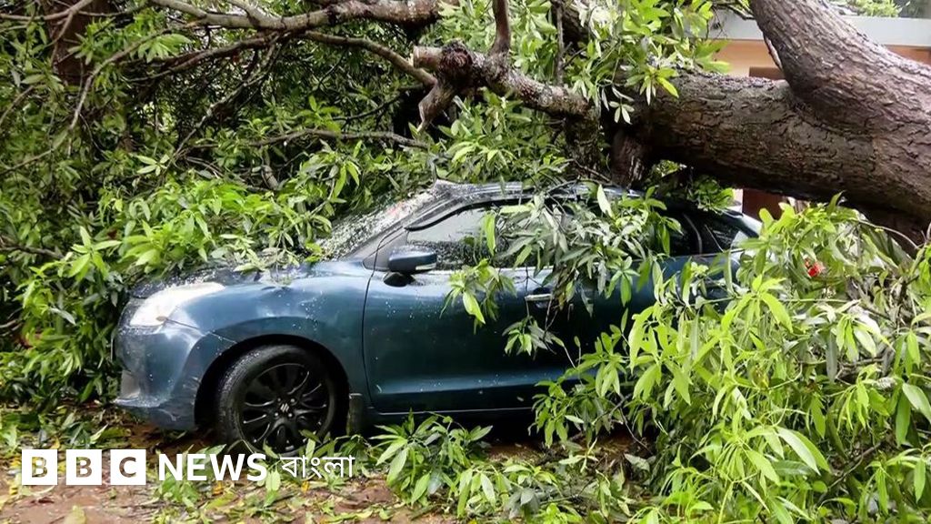 সাইক্লোন অর্ণবের প্রভাবে অন্ধ্রপ্রদেশ ও ওড়িশায় ব্যাপক ক্ষয়ক্ষতি