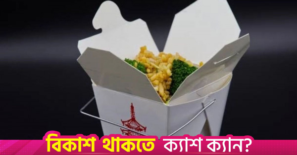 চাইনিজ টেকআউট বক্সের নেপথ্যে রয়েছে মার্কিন ইতিহাস