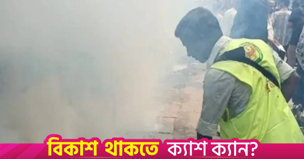 ডেঙ্গু নিয়ন্ত্রণে সরকারি তৎপরতা বৃদ্ধি, মশার প্রজননস্থল ধ্বংসের পরামর্শ বিশেষজ্ঞদের
