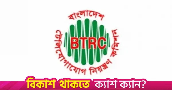 বিমানে ইন্টারনেট সেবার জন্য ভায়াস্যাটকে অনুমতি দিল বিটিআরসি