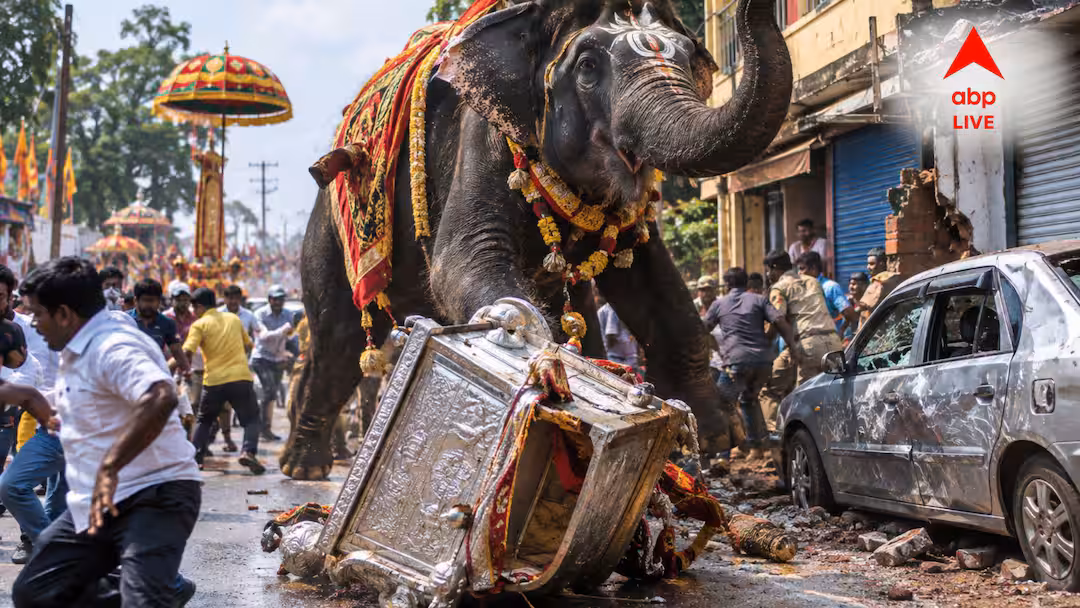 দশমীর শোভাযাত্রায় বিপত্তি: মত্ত হাতির পিঠ থেকে পড়ল ৬৫০ কেজির রুপোর হাওদা