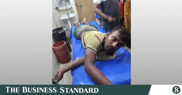 কুষ্টিয়া সীমান্তে বিএসএফের গুলিতে বাংলাদেশি কৃষক আহত, বিজিবির পাল্টা গুলি