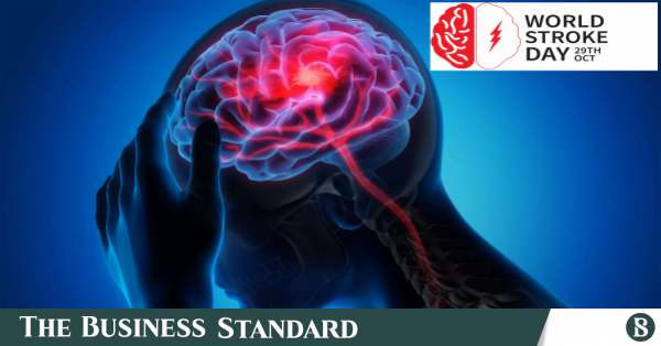স্ট্রোকের চিকিৎসায় জেলা পর্যায়ে সুযোগ বাড়ানোর তাগিদ বিশেষজ্ঞদের