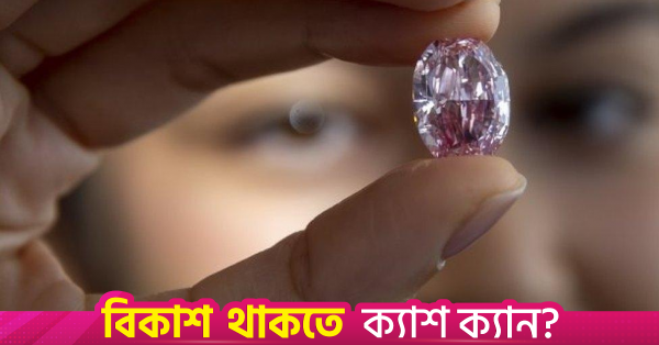 ১০০ বছর পর ফ্রান্সে জনসমক্ষে ফিরল চুরি হওয়া গোলাপি হীরা