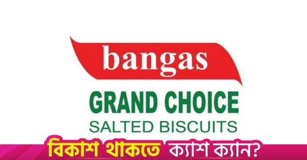 দেশের বাজারে বিক্রি কমলেও রপ্তানি বেড়েছে বিস্কুট প্রস্তুতকারক কোম্পানি ব্যাঙ্গাসের