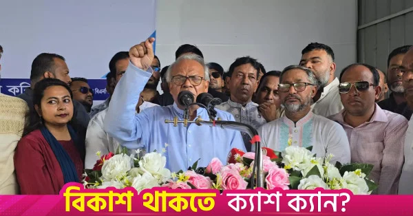 দেশ অস্থিতিশীল করতে পতিত সরকারের দোসররা ষড়যন্ত্র করছে: রিজভী