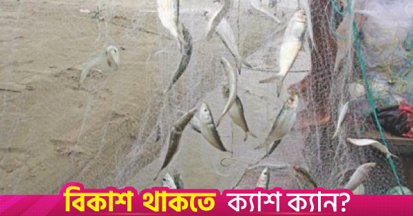 ২৫ কোটি ৭৮ লাখ টাকার অবৈধ জাল জব্দ করেছে নৌবাহিনী
