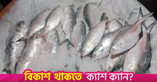 ইলিশ উৎপাদন বাড়াতে নতুন উদ্যোগ নিয়েছে সরকার