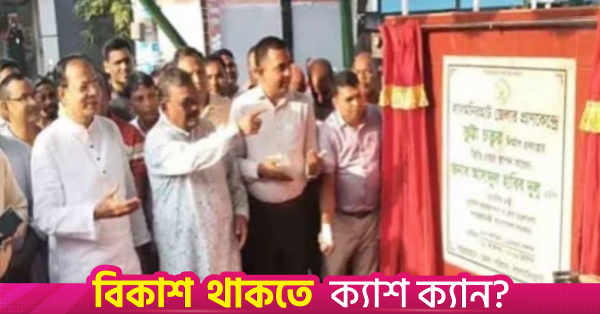 লালমনিরহাটের প্রতীক হবে 'কর্ন স্কয়ার': ত্রাণ প্রতিমন্ত্রী