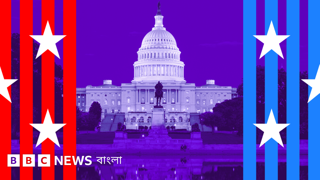 যুক্তরাষ্ট্রের মধ্যবর্তী নির্বাচন কী?