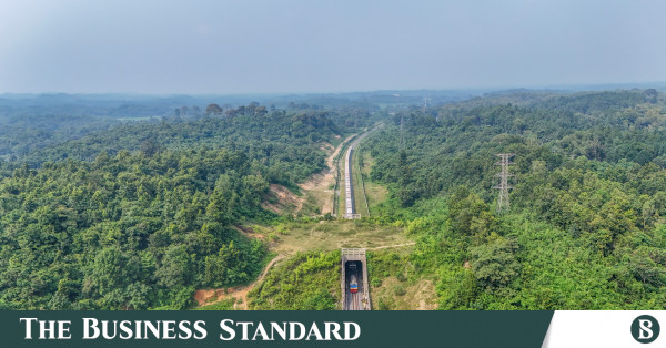 অবকাঠামো উন্নয়নের কারণে চুনতি অভয়ারণ্যে হাতির চলাচলের পথ বাধাগ্রস্ত