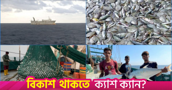 পাঁচ বছরে সামুদ্রিক মাছ আহরণ কমেছে ১৬.৫৭ শতাংশ