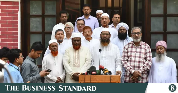 সরকার সহযোগিতা না করলে কঠোর কর্মসূচির হুঁশিয়ারি মামুনুল হকের