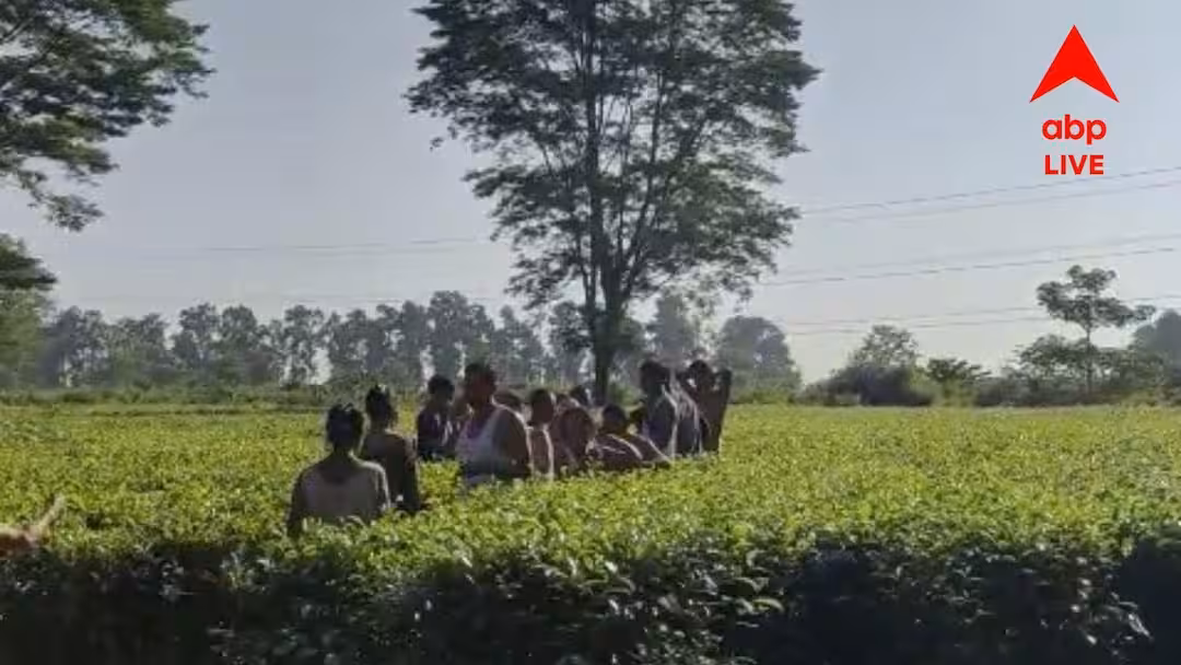 আলিপুরদুয়ারে ৪৮ ঘণ্টার ব্যবধানে ফের হাতির হানায় মৃত্যু