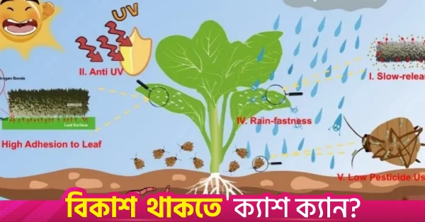 কীটনাশকের কার্যকারিতা বাড়াতে ন্যানোপার্টিকেল উদ্ভাবন করলেন চীনা বিজ্ঞানীরা